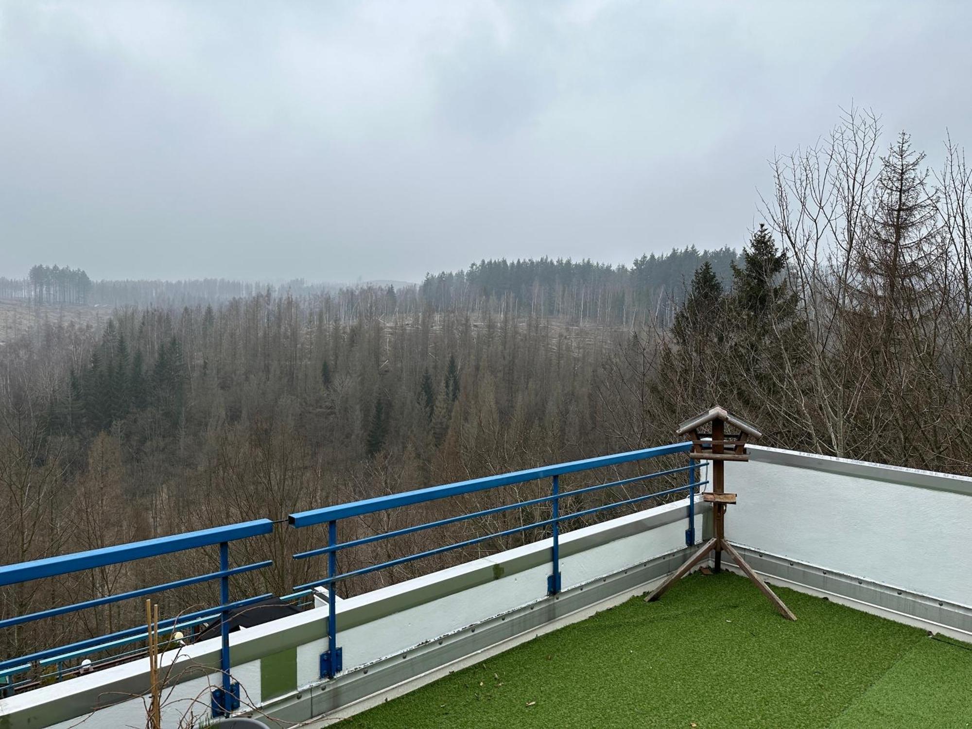 Ferienwohnung Harz #4, Pool, Sauna, Wlan Braunlage Exteriér fotografie